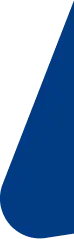 Imagem de ornamento banner direito